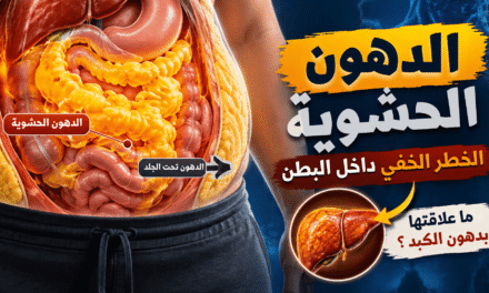 ما وراء الكرش: الدهون الحشوية وتأثيرها الخفي على صحتك