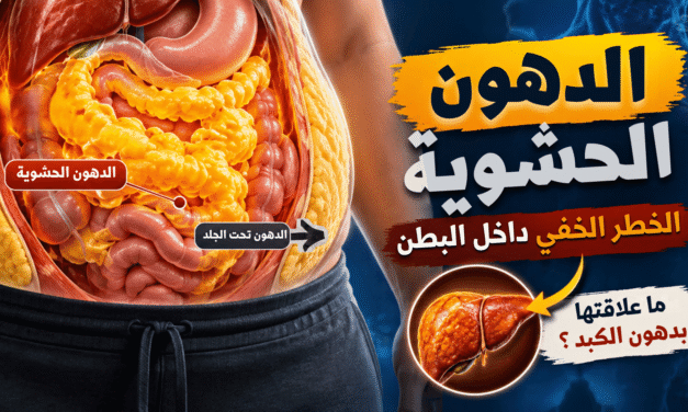 ما وراء الكرش: الدهون الحشوية وتأثيرها الخفي على صحتك